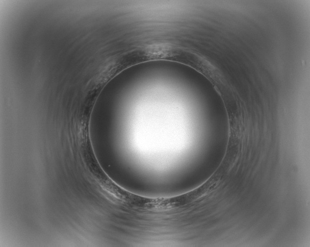 X0000062690601200512211438