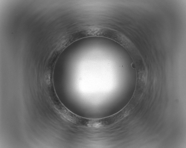 X0000062690602200512211438