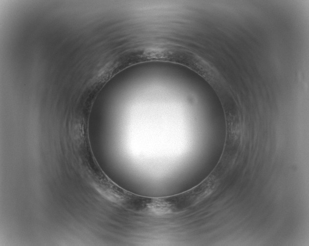 X0000062690603200512211438