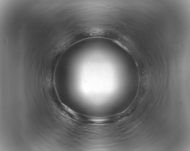 X0000062690604200512211438