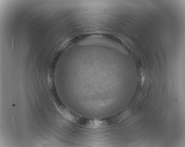 X0000062690607200512211438