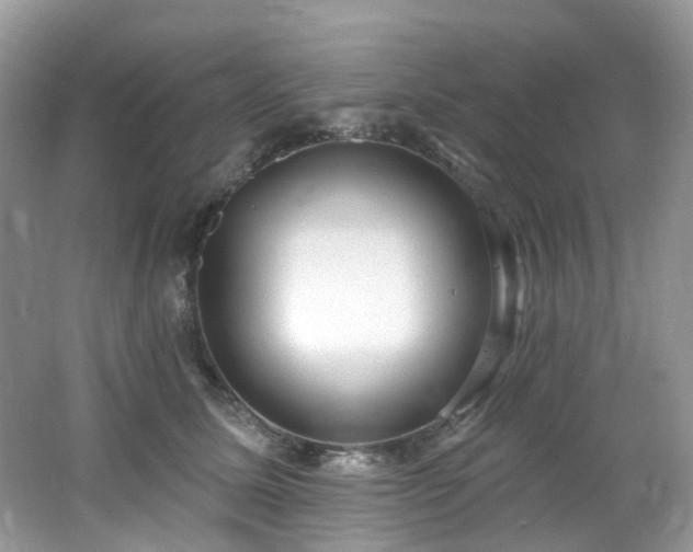 X0000062690611200512211438