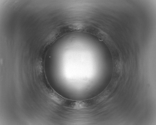 X0000062690612200512211438