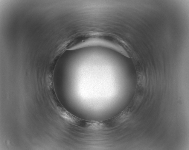 X0000062690621200512211437