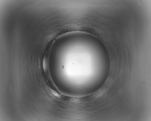 X0000062690624200512211437