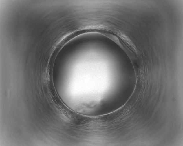 X0000062690628200512211437