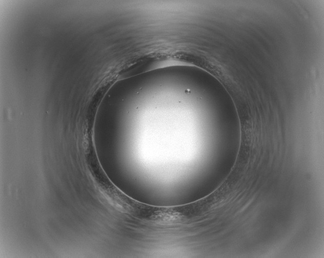 X0000062690642200512211437