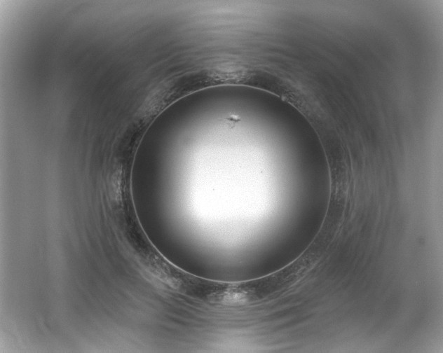 X0000062690647200512211437