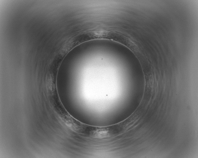 X0000062690651200512211437