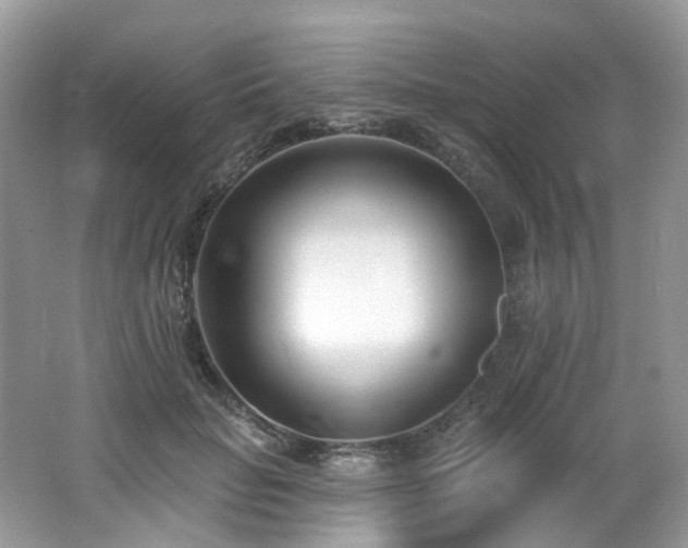 X0000062690653200512211437