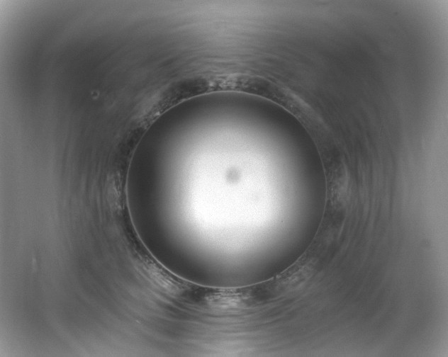 X0000062690661200512211437