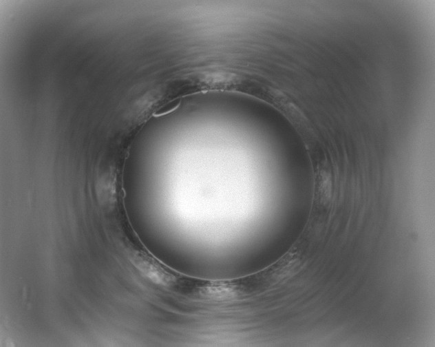 X0000062690668200512211437