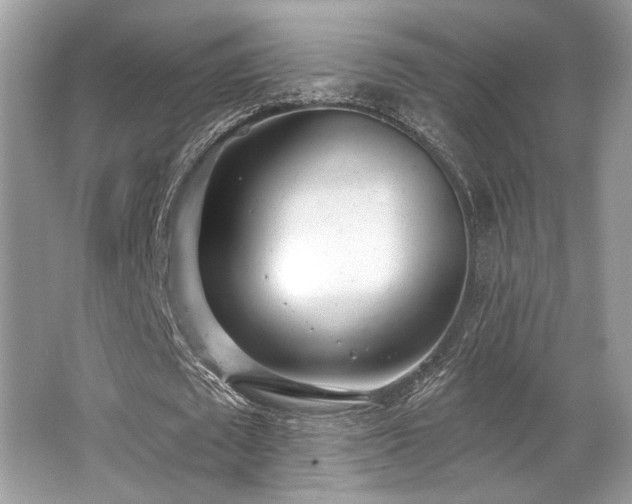 X0000062690673200512211436