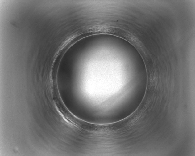X0000062690674200512211436