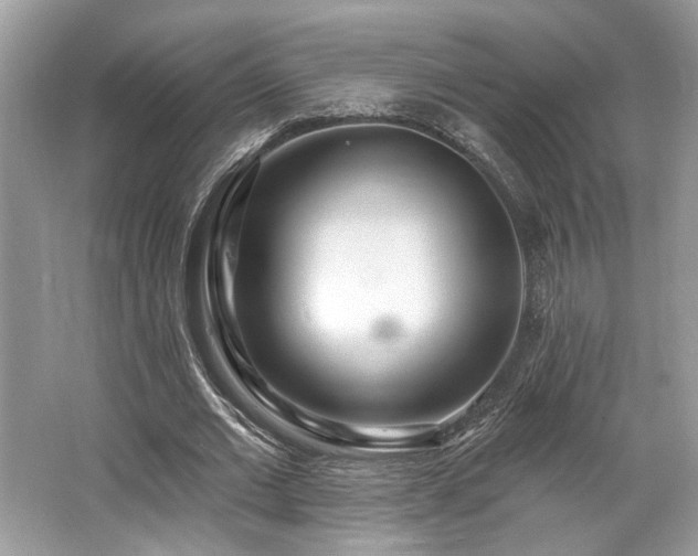 X0000062690677200512211436