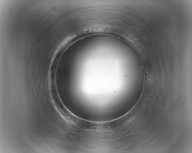 X0000062690678200512211436
