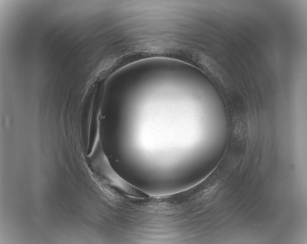 X0000062690685200512211436