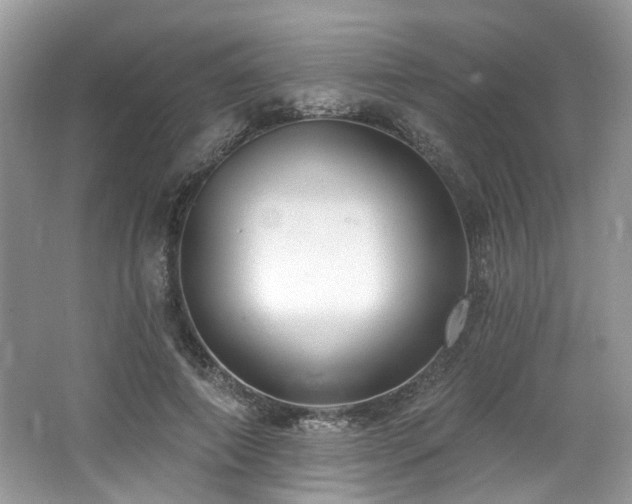 X0000062690690200512211436