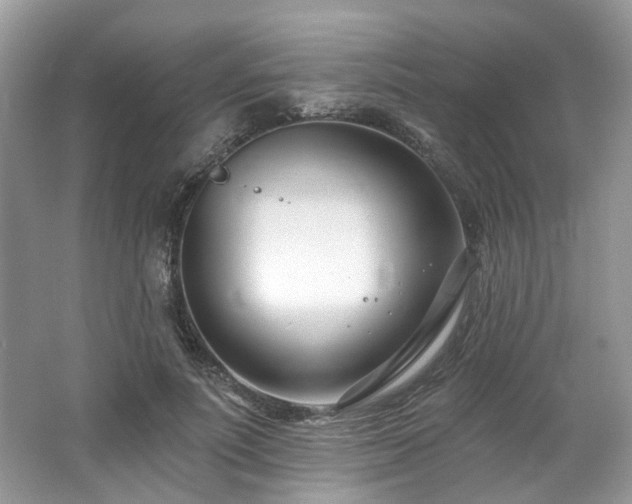 X0000062690691200512211436