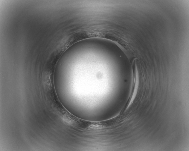 X0000062690699200512211436