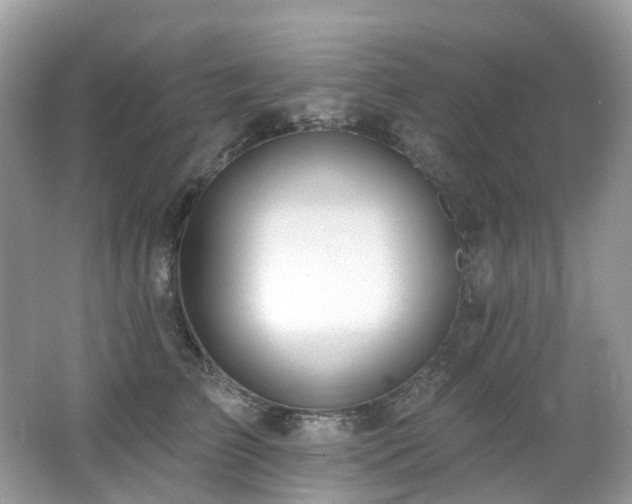 X0000062690709200512211436