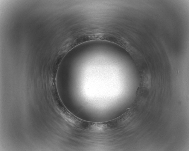 X0000062690711200512211436