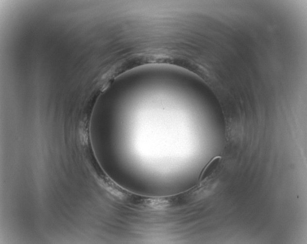 X0000062690719200512211436