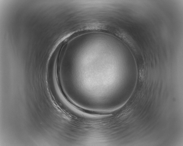 X0000062690724200512211435