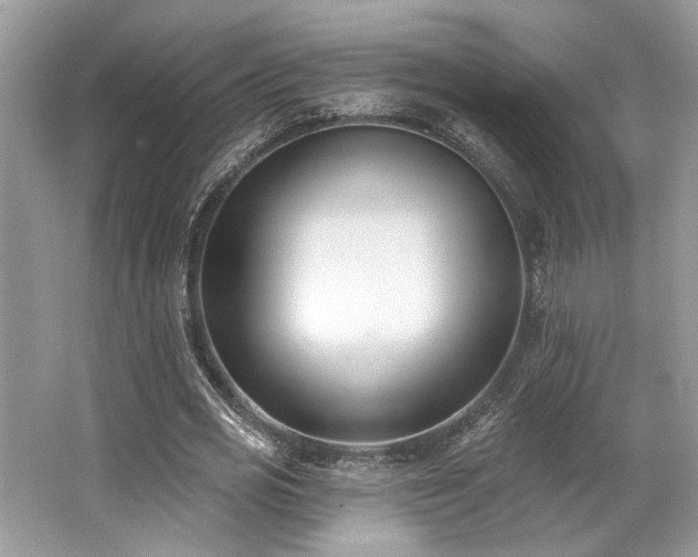 X0000062690725200512211435