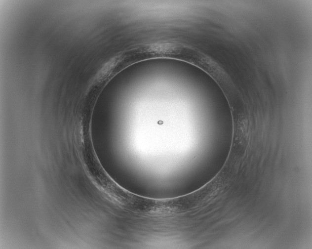 X0000062690734200512211435