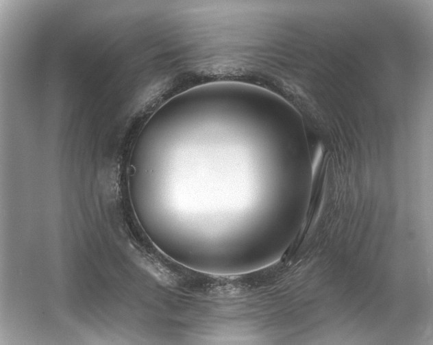 X0000062690735200512211435