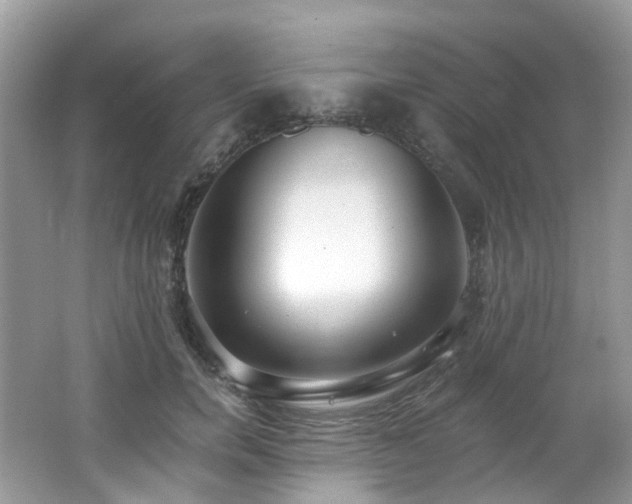 X0000062690750200512211435