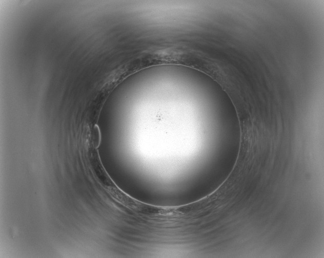 X0000062690752200512211435