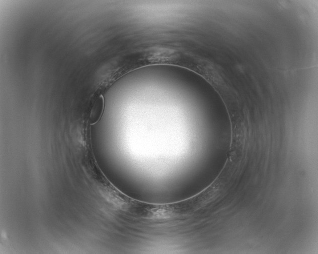 X0000062690755200512211435