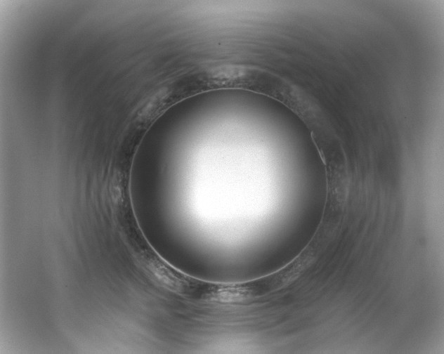 X0000062690758200512211435