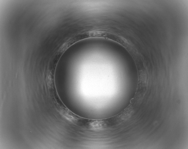 X0000062690761200512211435