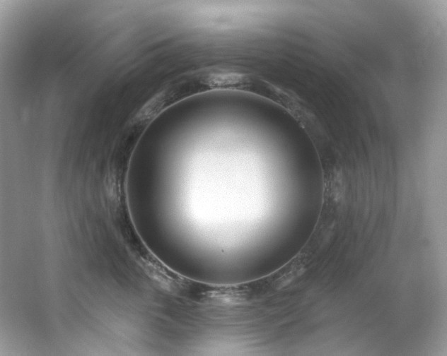 X0000062690763200512211436