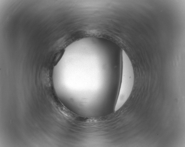 X0000062690764200512211436