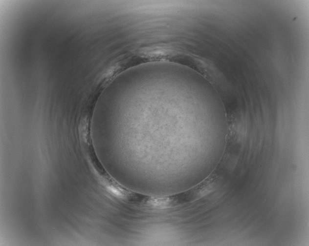 X0000062690767200512211436