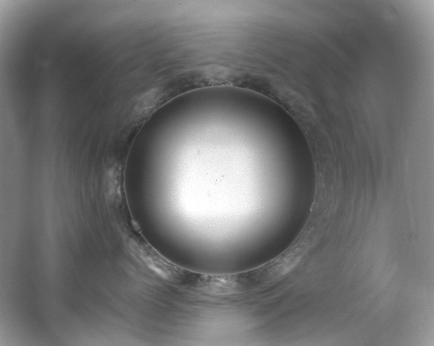 X0000062690768200512211436
