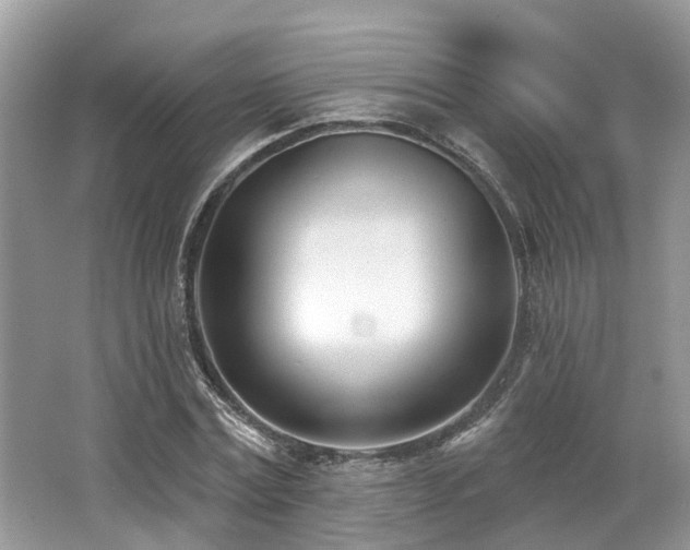 X0000062690779200512211435
