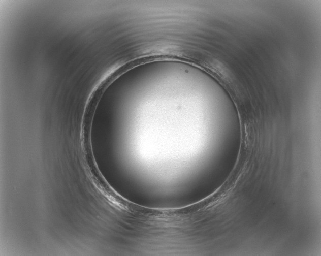 X0000062690780200512211435
