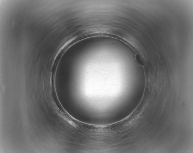 X0000062690790200512211434