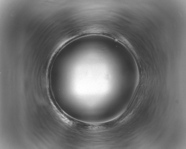 X0000062690795200512211434