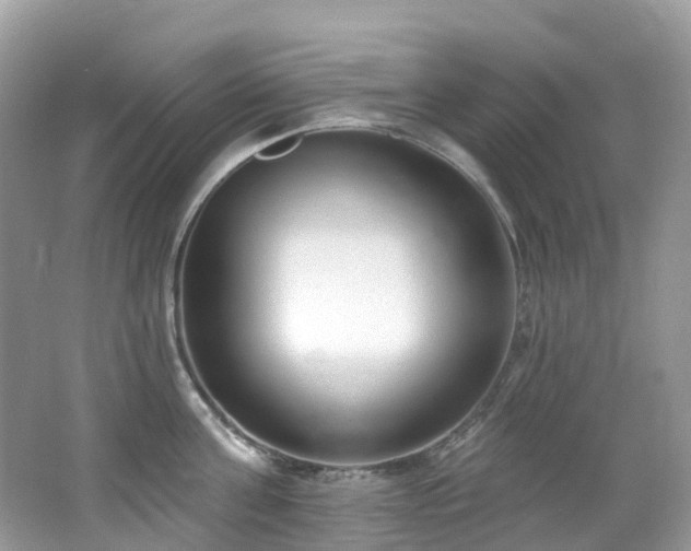 X0000062690811200512211434