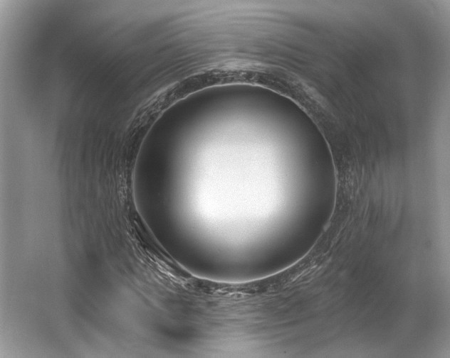 X0000062690821200512211433