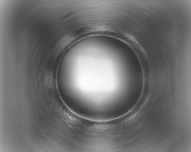 X0000062690825200512211433