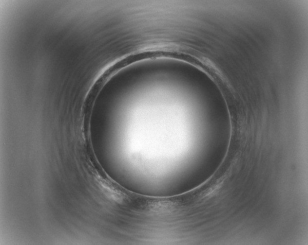 X0000062690830200512211433
