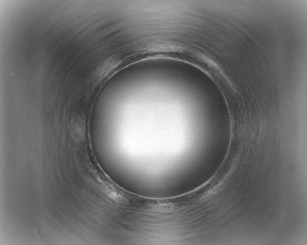 X0000062690833200512211433