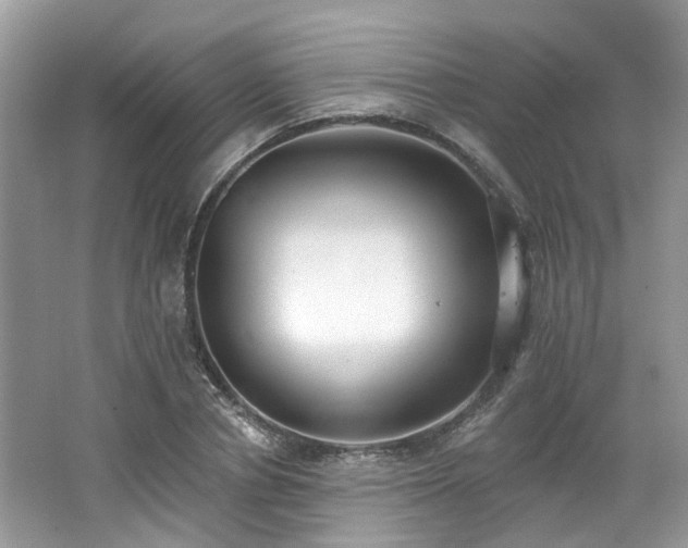 X0000062690834200512211433